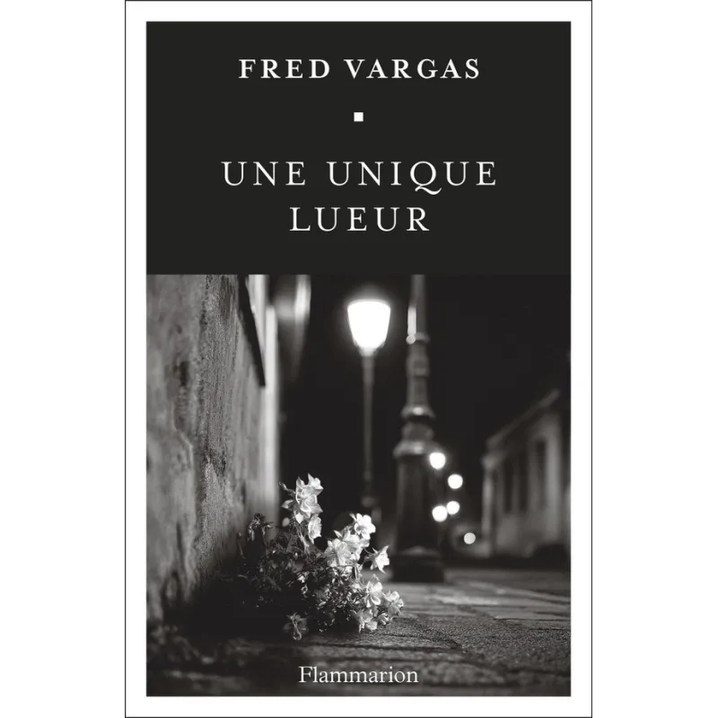 Une unique lueur - Fred Vargas - Flammarion - Grand format - ravate.com librairie reunion