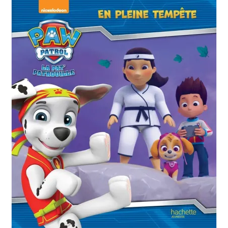 La Pat'Patrouille : en pleine tempête