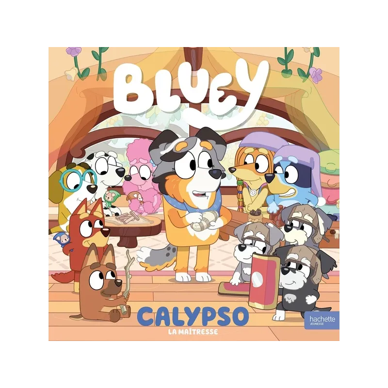 Bluey : Calypso : La maîtresse - Collectif - Hachette Jeunesse - Grand format - ravate.com librairie reunion