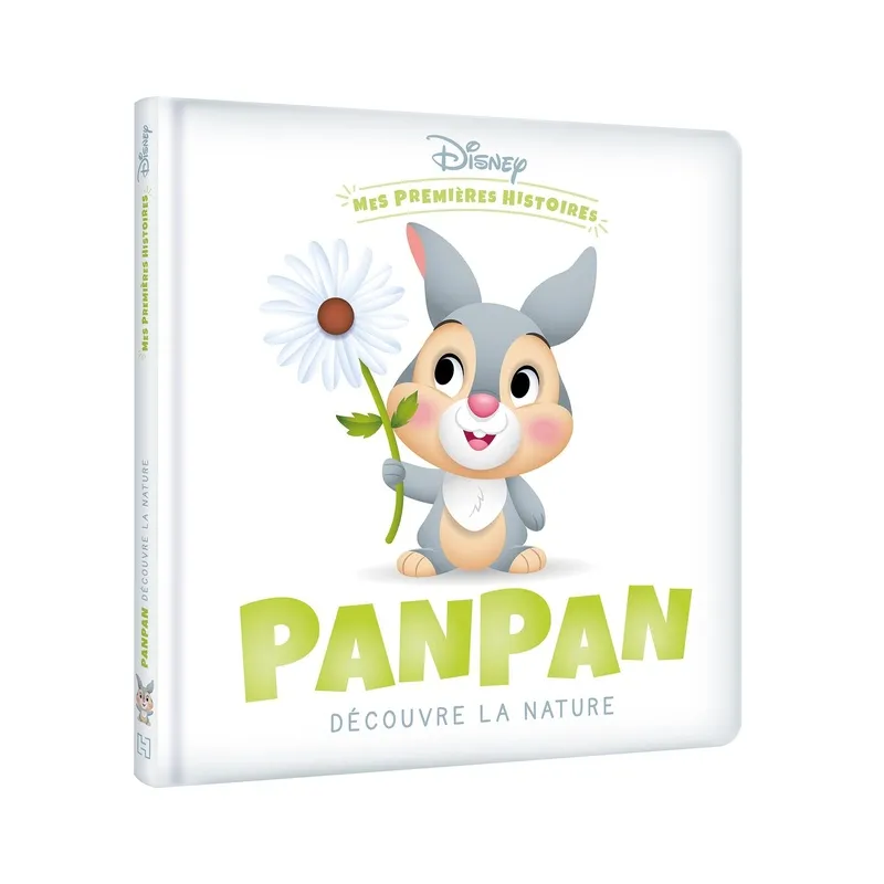 Mes premières histoires : Panpan découvre la nature - Disney - Disney Hachette - Grand format - ravate.com librairie reunion