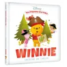 Mes premières histoires : Winnie cherche un trésor - Disney - Disney Hachette - Grand format - ravate.com librairie reunion