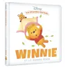 Mes premières histoires : Winnie et le doudou perdu - Disney - Disney Hachette - Grand format - ravate.com librairie reunion