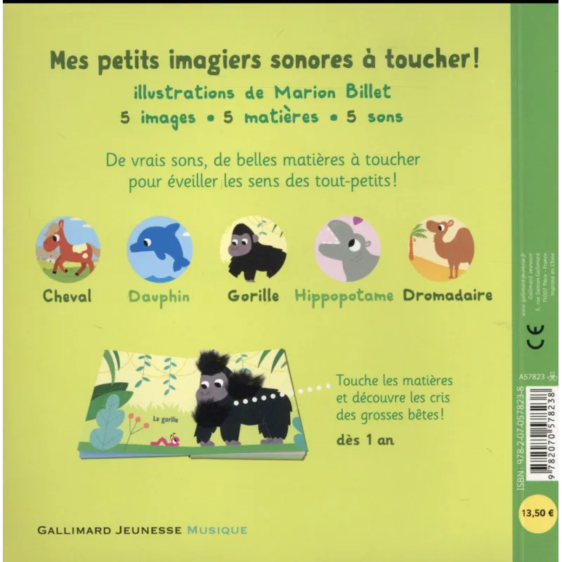 Mes grosses bêtes - Collectif, Marion Billet - Gallimard Jeunesse - Grand format - ravate.com librairie reunion