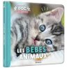 Mon premier doc photo : les bébés animaux - Collectif - Auzou - Grand format - ravate.com librairie reunion