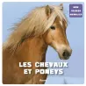 Les chevaux et les poneys - Patrick David - Auzou - Grand format - ravate.com librairie reunion