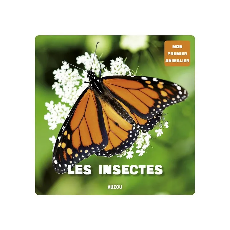 Les insectes - Jérôme Carrier - Auzou - Grand format - ravate.com librairie reunion