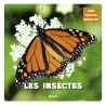 Les insectes - Jérôme Carrier - Auzou - Grand format - ravate.com librairie reunion