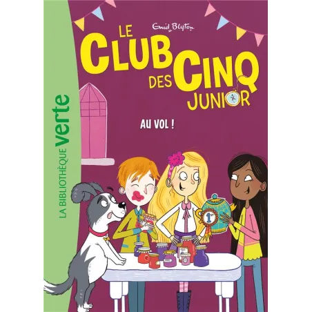 Le Club des Cinq junior Tome 15 : Au vol !