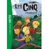 Le Club des Cinq Tome 26 : les Cinq et les pirates du ciel - Claude Voilier - Hachette Jeunesse - Poche - ravate.com...