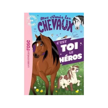 Mes amis les chevaux aventures sur mesure XXL