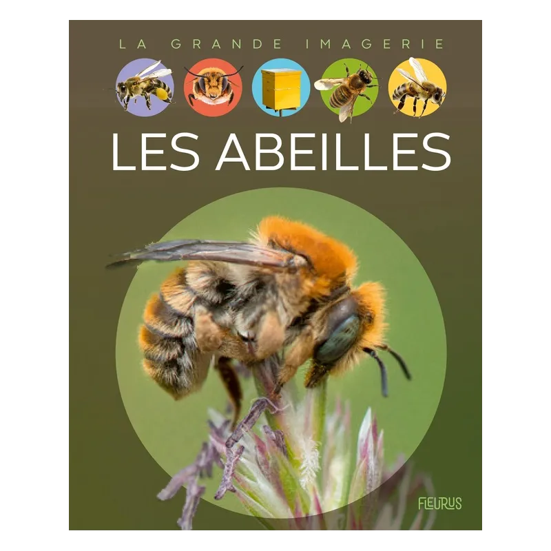 Les abeilles - Sabine Boccador - Fleurus - Grand format - ravate.com librairie reunion