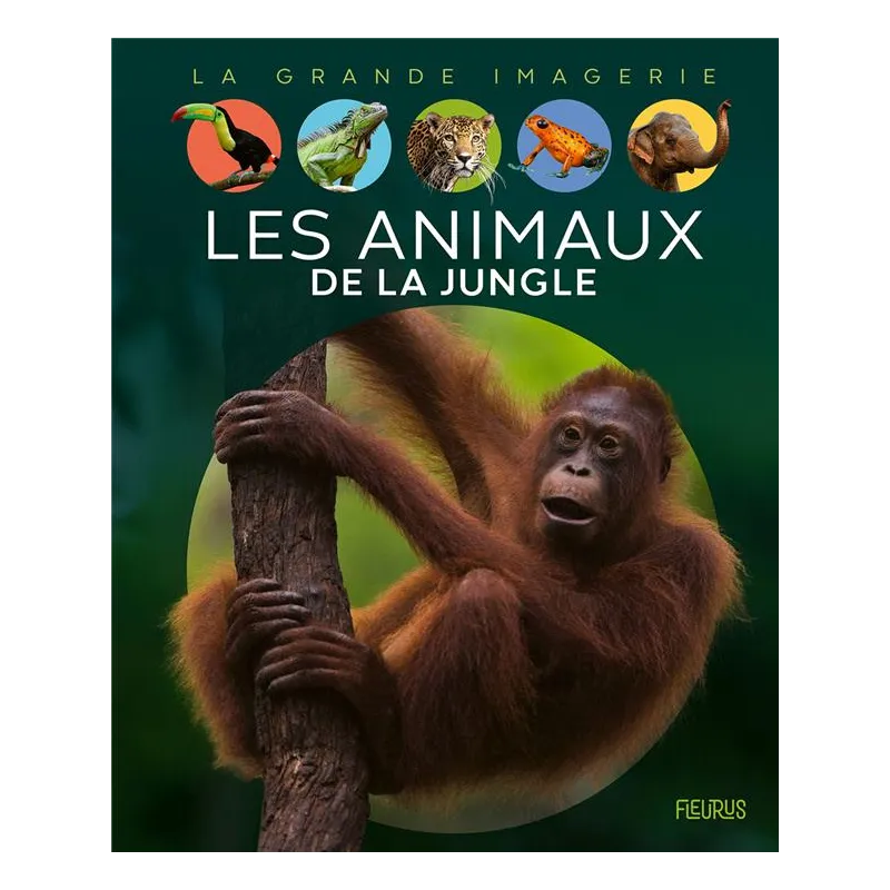 Les animaux de la jungle - Raphaelle Chauvelot - Fleurus - Grand format - ravate.com librairie reunion