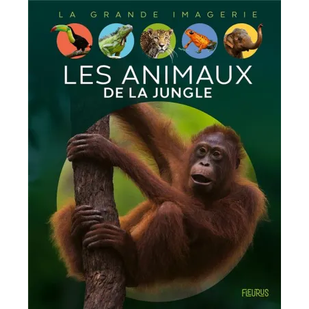 Les animaux de la jungle