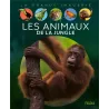 Les animaux de la jungle - Raphaelle Chauvelot - Fleurus - Grand format - ravate.com librairie reunion
