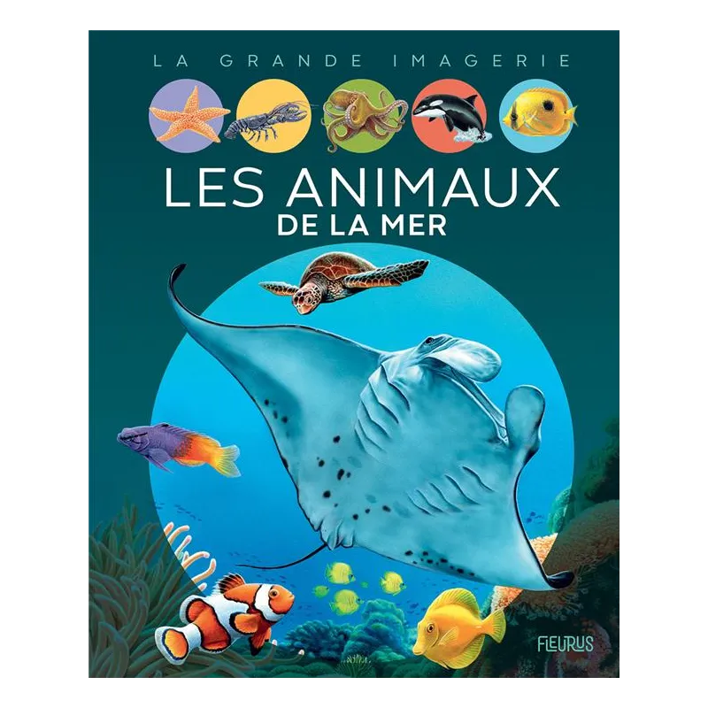 Les animaux de la mer - Emilie Beaumont, Marie-Christine Lemayeur, Bernard Alunni - Fleurus - Grand format - ravate.com...