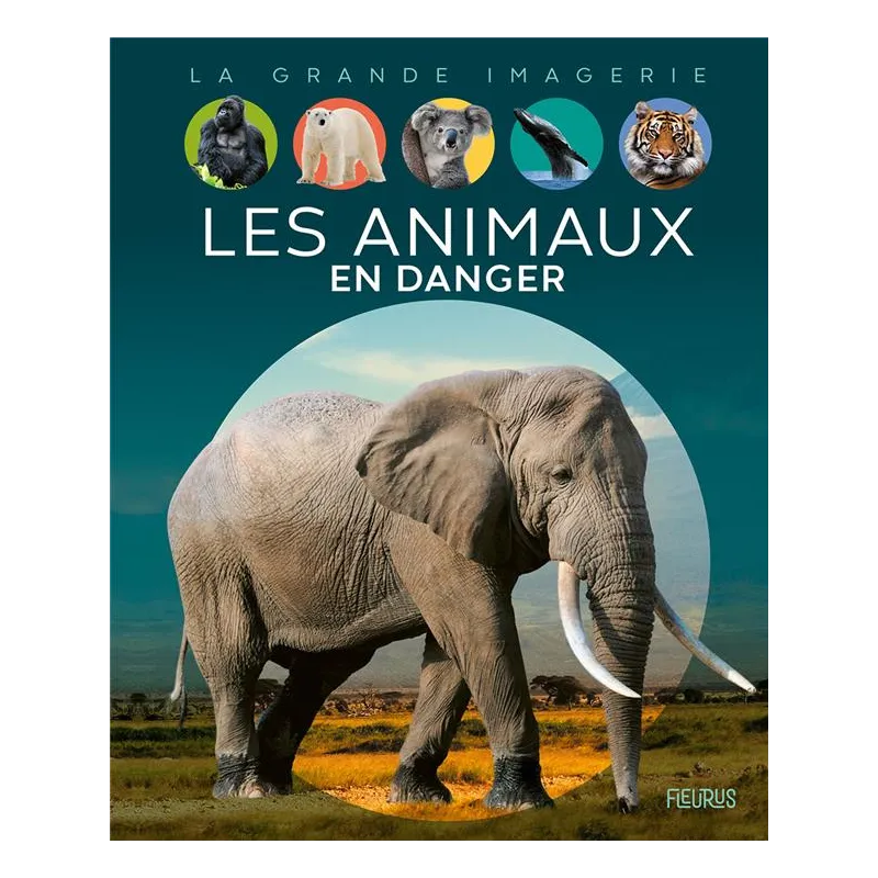 Les animaux en danger - Collectif - Fleurus - Grand format - ravate.com librairie reunion