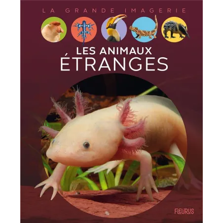 Les animaux étranges