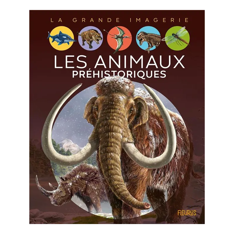 Les animaux préhistoriques - Agnès Vandewiele, Franco Tempesta - Fleurus - Grand format - ravate.com librairie reunion