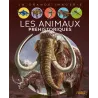 Les animaux préhistoriques - Agnès Vandewiele, Franco Tempesta - Fleurus - Grand format - ravate.com librairie reunion