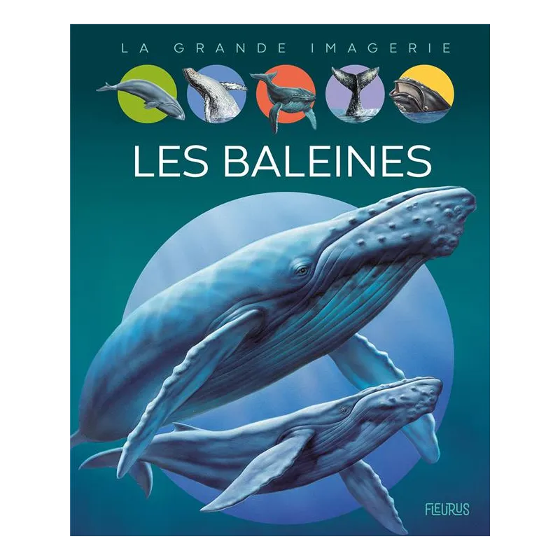 Les baleines - Bernard Alunni, Jacques Dayan, Marie-Christine Lemayeur, Agnès Vandewiele - Fleurus - Grand format -...