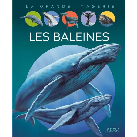 Les baleines