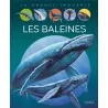 Les baleines - Bernard Alunni, Jacques Dayan, Marie-Christine Lemayeur, Agnès Vandewiele - Fleurus - Grand format -...