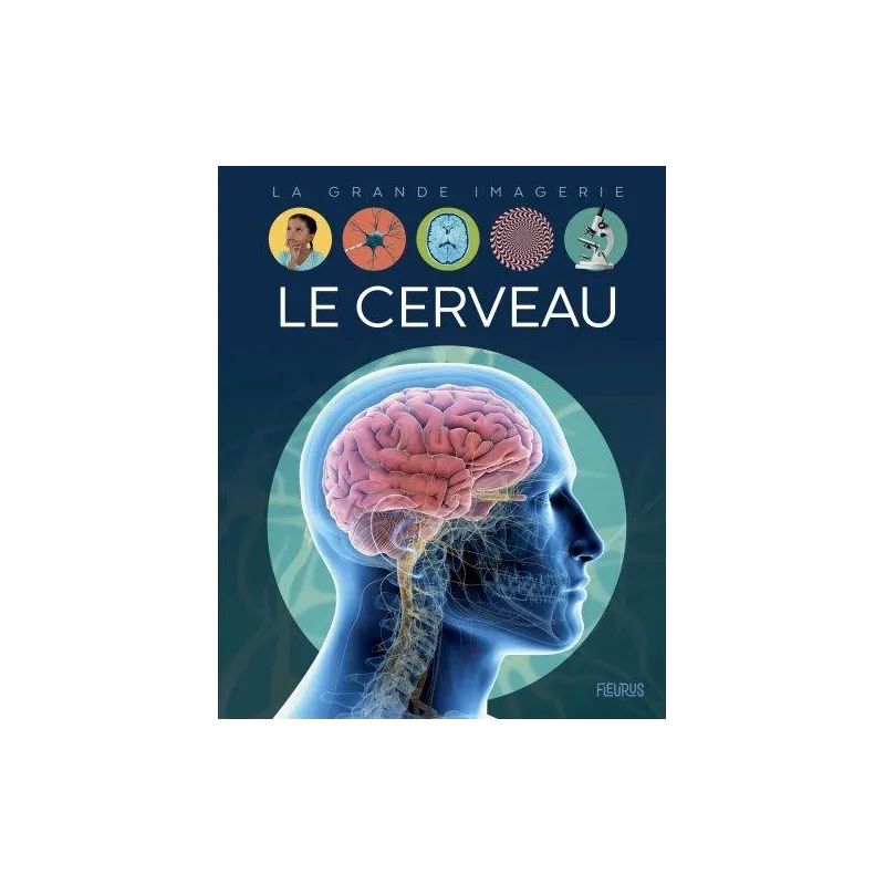 Le cerveau - Collectif - Fleurus - Grand format - ravate.com librairie reunion