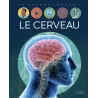 Le cerveau - Collectif - Fleurus - Grand format - ravate.com librairie reunion