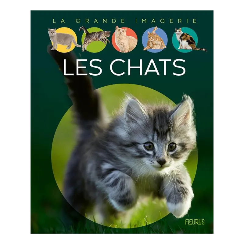 Les chats - Agnès Vandewiele - Fleurus - Grand format - ravate.com librairie reunion