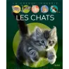 Les chats - Agnès Vandewiele - Fleurus - Grand format - ravate.com librairie reunion