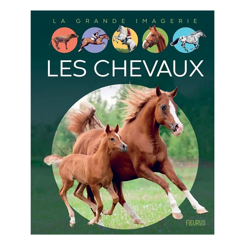 Les chevaux - Agnès Vandewiele - Fleurus - Grand format - ravate.com librairie reunion