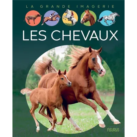 Les chevaux