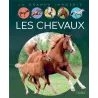 Les chevaux - Agnès Vandewiele - Fleurus - Grand format - ravate.com librairie reunion