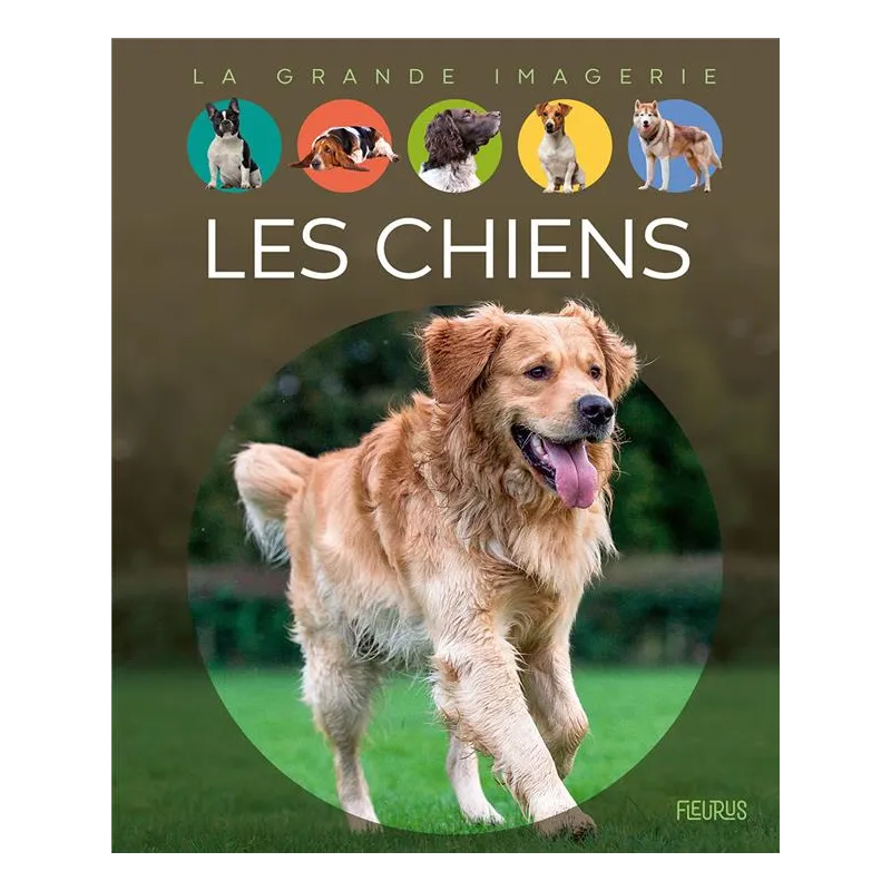 Les chiens - Emilie Beaumont - Fleurus - Grand format - ravate.com librairie reunion