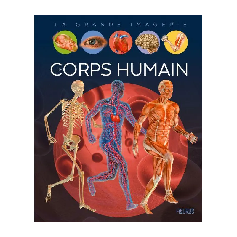 Le corps humain - Cathy Franco, Jacques Dayan - Fleurus - Grand format - ravate.com librairie reunion