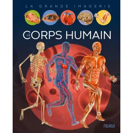 Le corps humain