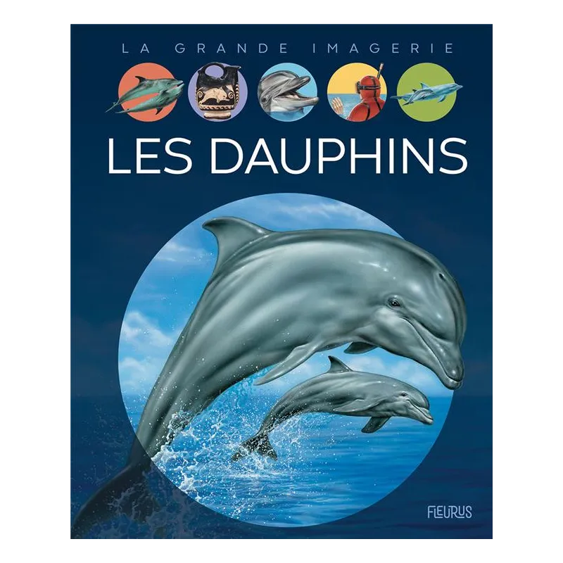 Les dauphins - Collectif - Fleurus - Grand format - ravate.com librairie reunion