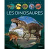 Les dinosaures - Franco Tempesta, Agnès Vandewiele - Fleurus - Grand format - ravate.com librairie reunion