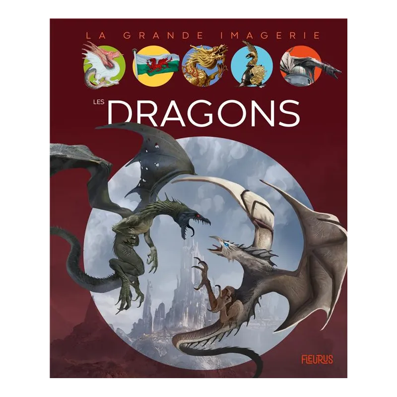 Les dragons - Sabine Boccador - Fleurus - Grand format - ravate.com librairie reunion