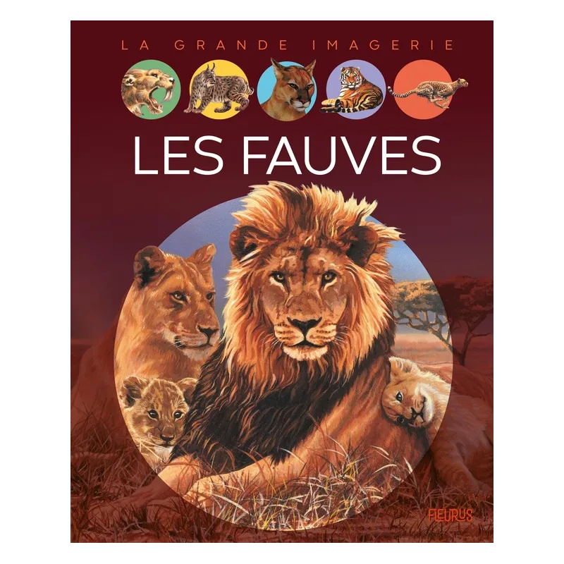Les fauves - Emilie Beaumont, Gian paolo Faleschini - Fleurus - Grand format - ravate.com librairie reunion