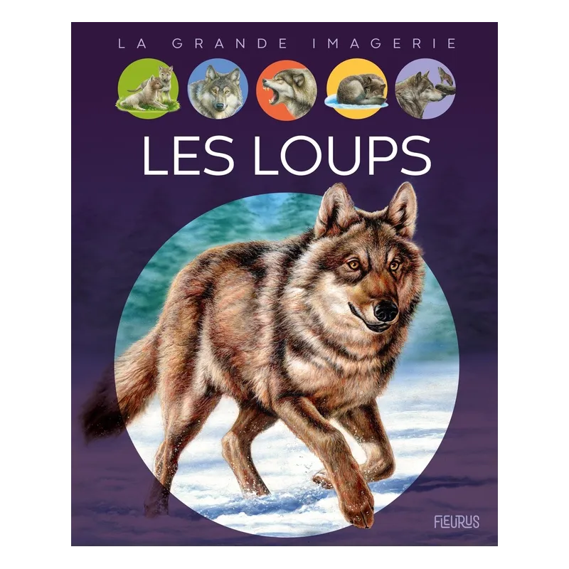 Les loups - Agnès Vandewiele, Marie-Christine Lemayeur, Bernard Alunni - Fleurus - Grand format - ravate.com librairie reunion