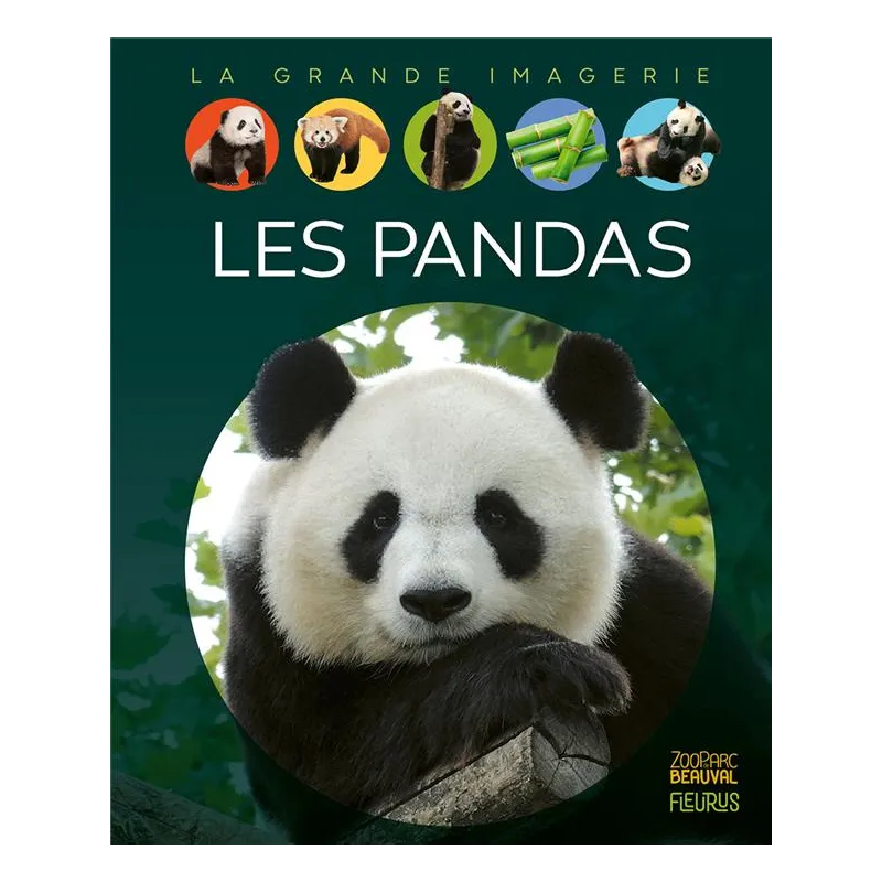 Les pandas - Collectif - Fleurus - Grand format - ravate.com librairie reunion