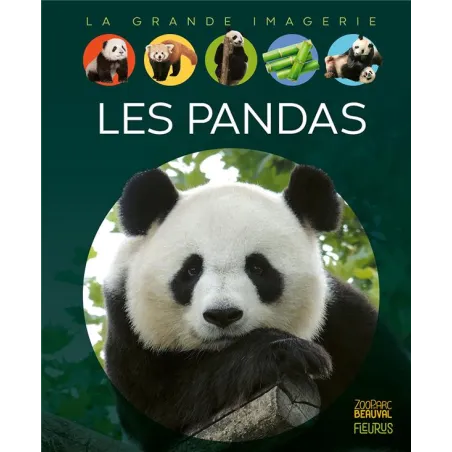 Les pandas