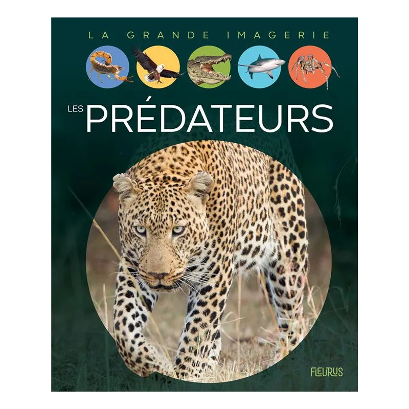 Les prédateurs - Sabine Boccador - Fleurus - Grand format - ravate.com librairie reunion