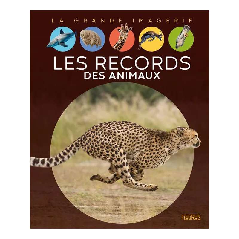 Les records des animaux - Cathy Franco - Fleurus - Grand format - ravate.com librairie reunion