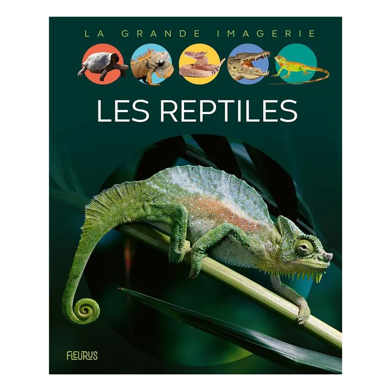Les reptiles - Cathy Franco - Fleurus - Grand format - ravate.com librairie reunion