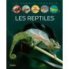 Les reptiles - Cathy Franco - Fleurus - Grand format - ravate.com librairie reunion