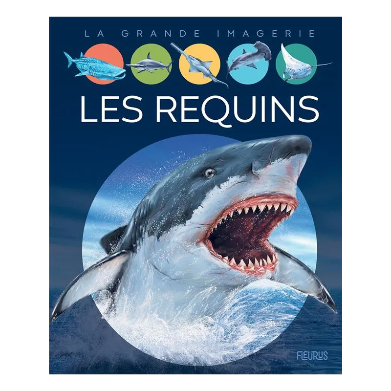 Les requins - Cathy Franco, Jacques Dayan - Fleurus - Grand format - ravate.com librairie reunion