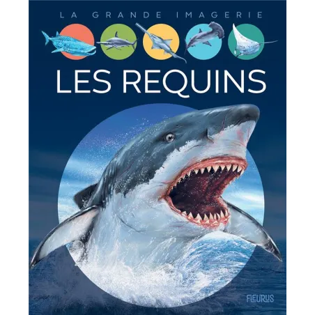 Les requins