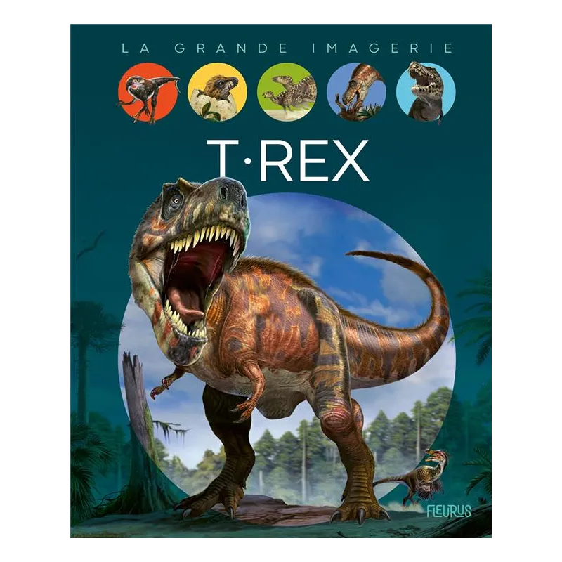 T.rex - Collectif - Fleurus - Grand format - ravate.com librairie reunion